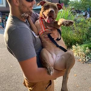 Meet your Posher, Ian